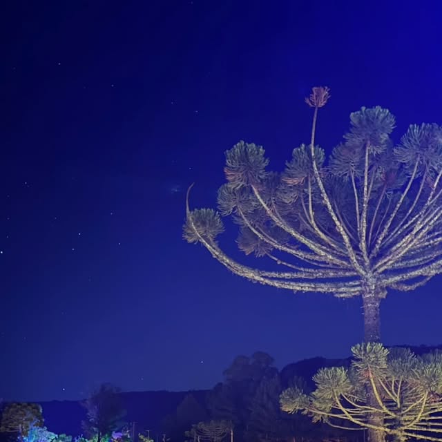 Lumni Experience promove edição de inverno do Luau das Estrelas em Gramado