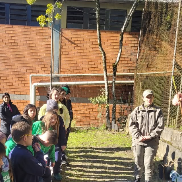 Projeto Hortênsia conclui primeira etapa com mais de 300 alunos envolvidos e plantio de 220 mudas em Gramado