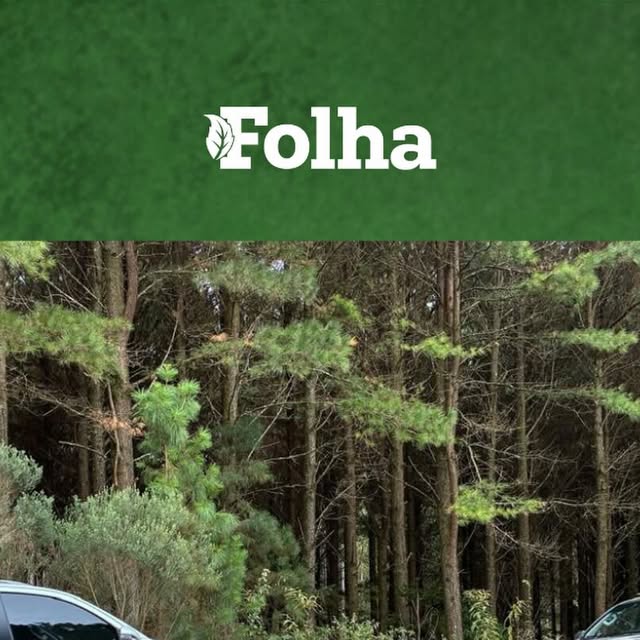 Policia Civil apreende adolescente investigado por homicídio em Canela