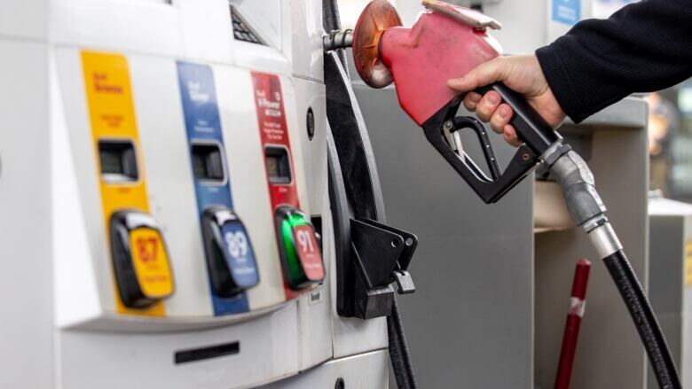 Procon de Canela intensifica fiscalização nos postos de combustíveis