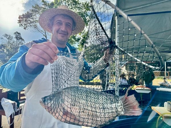 Feira do Peixe Vivo acontece neste sábado na Várzea Grande