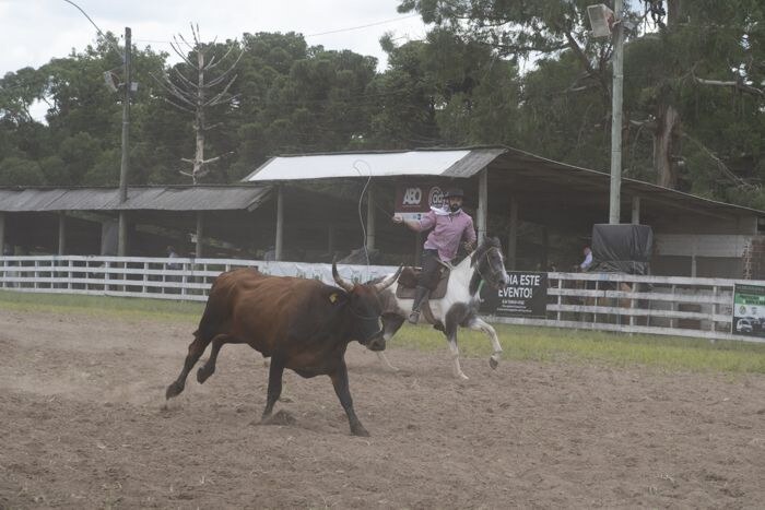 Canela vive quatro dias de tradição no Rodeio Crioulo Nacional e espera mais de 30 mil pessoas