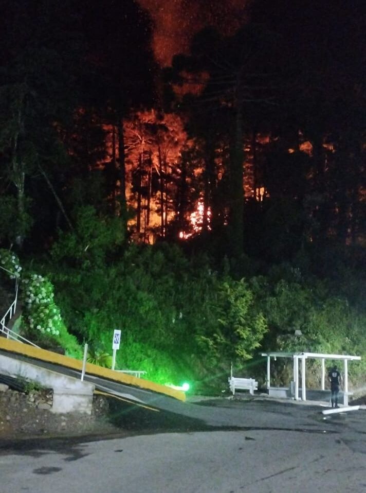 Bombeiros controlam incêndio em casa abandonada e mata perto do Hospital Arcanjo de São Miguel em Gramado