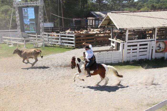 46º Rodeio Crioulo Nacional de Gramado acontece de 6 a 8 de fevereiro