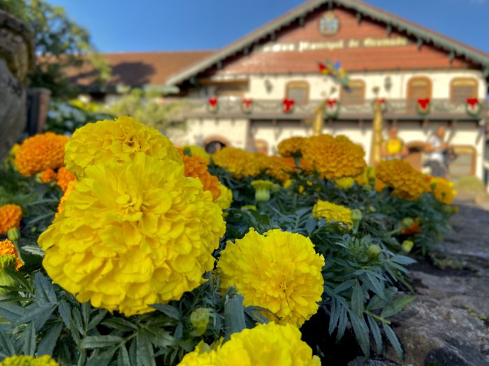 Projeto “Jardins de Gramado” vai incentivar a preservação e o paisagismo no município