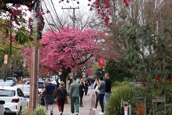 Gramado encerra primeiro semestre com 5,6 milhões de pernoites e avanço nos indicadores econômicos do turismo