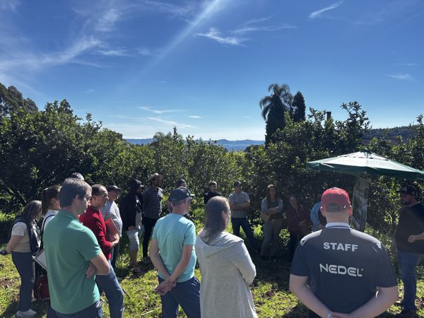 Dia de Campo de Citricultura aproxima produtores e indústria local