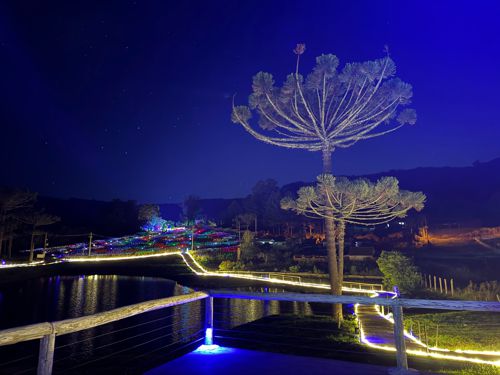 Sunset Lumni + Luau promete unir música, gastronomia e milhares de luzes em Gramado